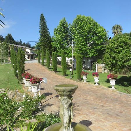 Cul de Sac - Accommodation George Esterno foto